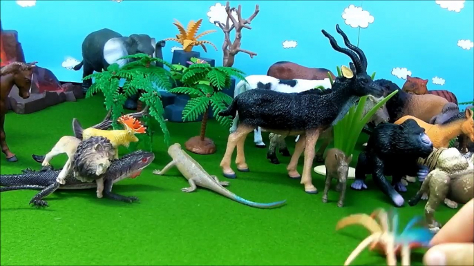 Wild Zoo Animals Cute Happy Toys Animal Safari for childrens! Animales de juguetes!