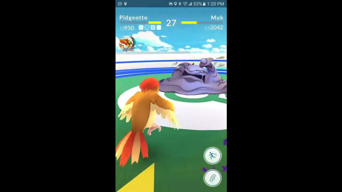 Pokémon GO Gym Battles Ash Ketchum theme Pikachu Charmander Bulbasaur Squirtle & more