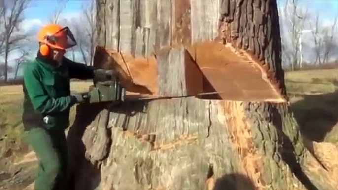 Smart Primitive Technology in cutting tree, woods milling