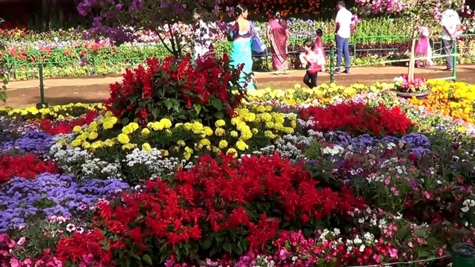 Ooty Flower Show 2016