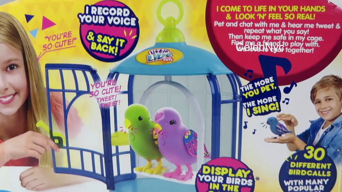 Little Live Pets Bird Cage - Beauty Bella & Silly Billie Talking Birds Review