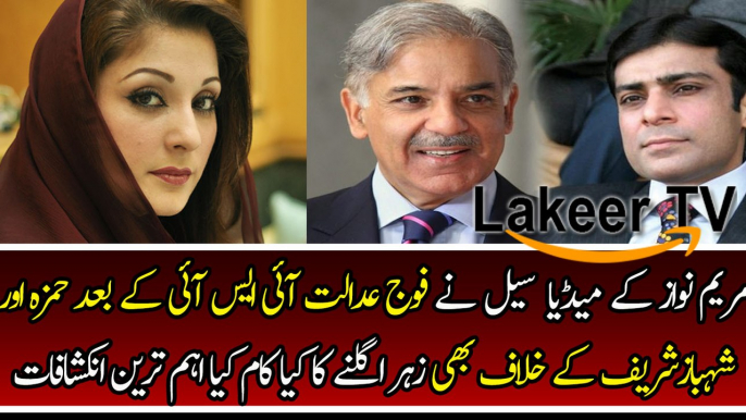 Maryam Nawaz Social Media cell Also Working Against Shahbaz Sharif family