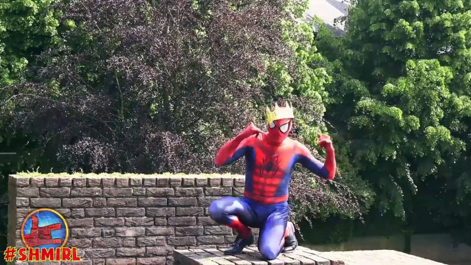 Spiderman in Real Life Shepherd Cows & Sheep Funny Spider-man - Fun Superheroes by SHMIRL