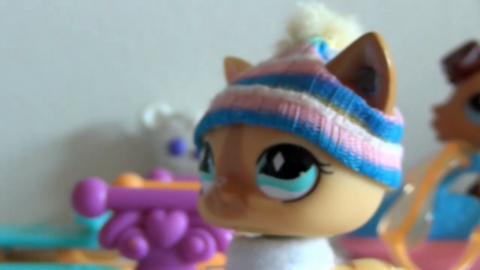 LPS: The Ice Crystal (Episode #5 Freezing Hot)