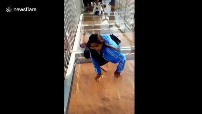 Tourist petrified by Yellow River's glass-bottomed bridge