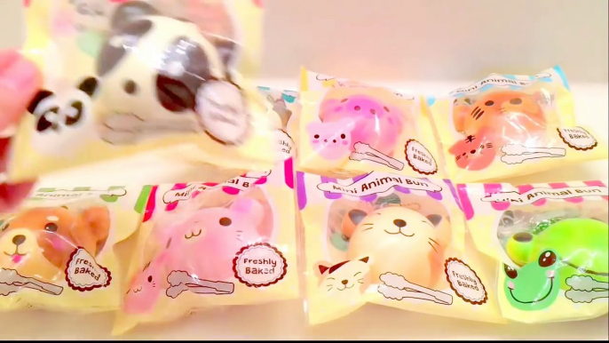 BEST SQUISHY PACKAGE EVER! | Review Package from Creamiicandy & Puni Maru!