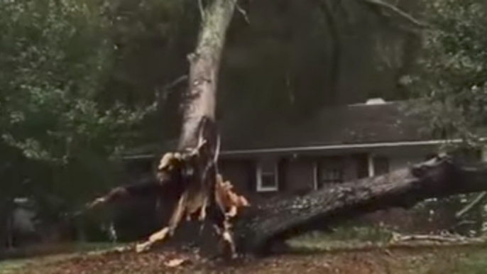 Tree Falls on North Carolina Home During Storm