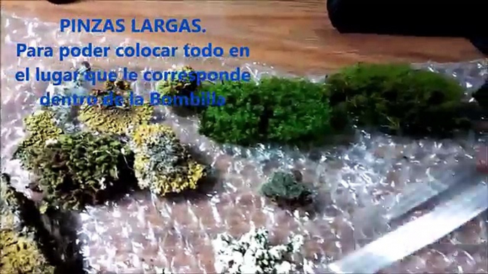 Manualidades || Como hacer un Jardín - Terrario en una Bombilla. Reciclar Bombilla