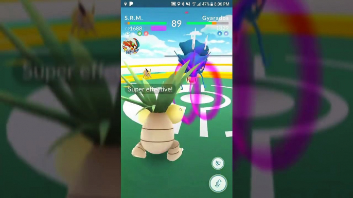 Pokémon GO Gym Battles 4 Gyms Shiny Gyarados Steelix Porygon 2 Ursaring Slowking Espeon & more