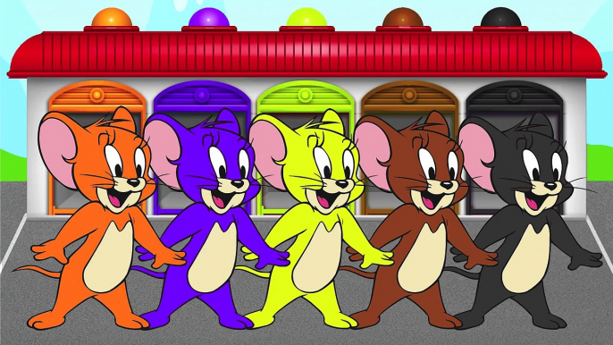 NEW COLORS TOM and JERRY!!! LEARN COLORS! Video for kids and toddlers!