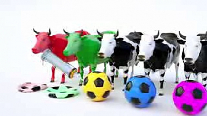 Learn Colors with Soccer Balls for Children Toddlers #h - Learn Colors with Animals Cows for Kids