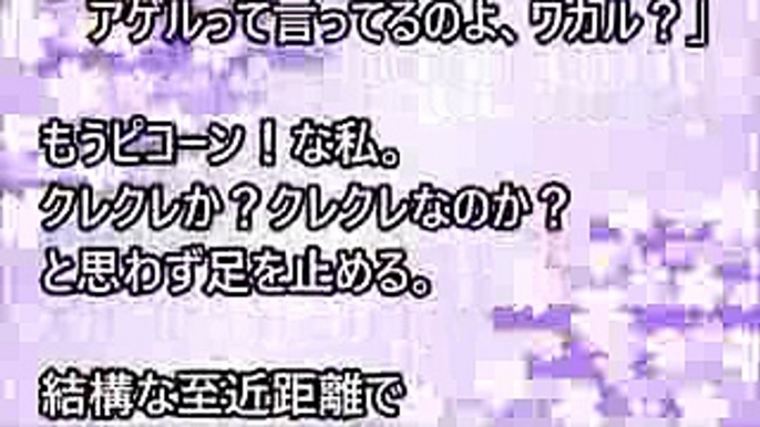 【クレママ】クレママ「その福袋貰ってあげる」マツコママ『は？』クレママ「だーかーらー、モラッテアゲルって言ってるのよ！ワカル？何なら他の福袋もよこせ」→すると…【スカッとねぇｃｈ】