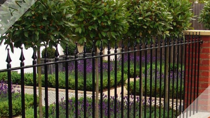 Painterly Garden Gate & Fence Painting in Dublin - CALL 01 254 8255