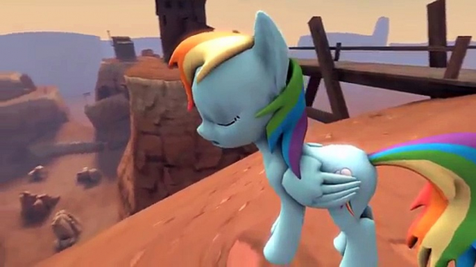 The Top Ten Pony Videos of November new