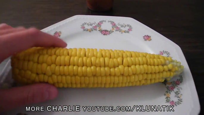 Charlie eating Corn