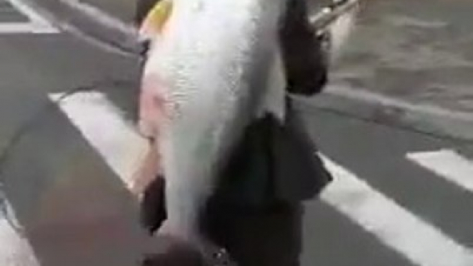 Quand tu rentres de la peche et que tu es plutot content de ta prise! Gros poisson