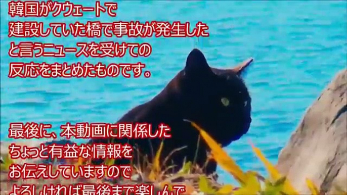 【海外の反応】クウェートで韓国が建設中の橋で崩落事故！世界最長のはずが…手抜き工事に批判殺到