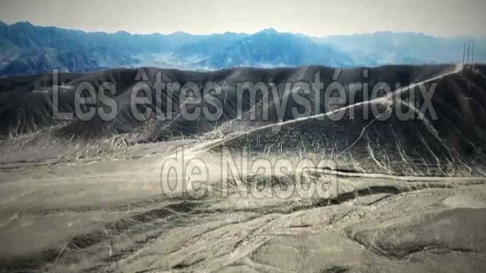 Les Etres Mystérieux de Nasca - Analyse de Maria par le Dr Salas  Alfaro - N° 8 - Analyses