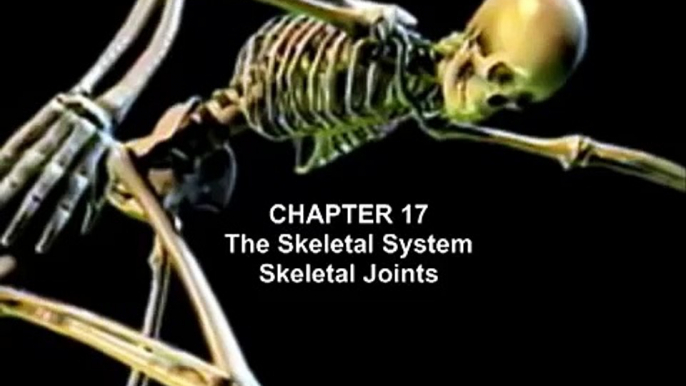 The Skeletal System: Skeletal Joints