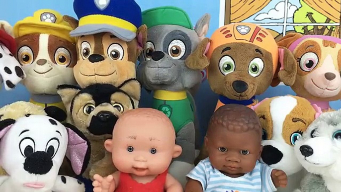 Patrulla canina juguetes español FIESTA PAW PATROL EN LA GUARDERIA CON NUEVOS BEBES CACHORROS ROCKY