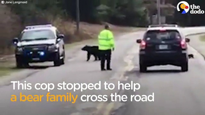 Cop Helps Bear Family Cross The Road by Native American News