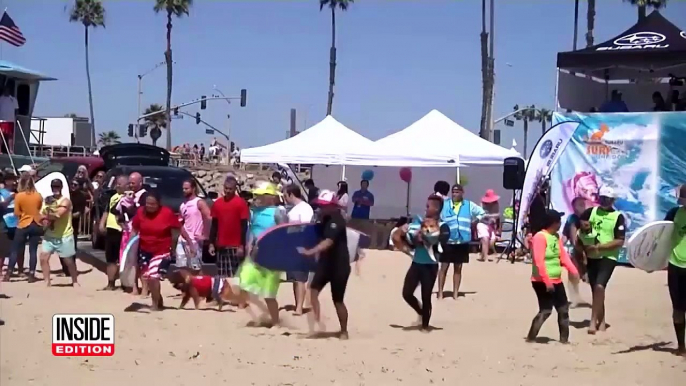 Surfing Dogs Ride the Waves to Compete in Canine Charity Competition-lBqxlU_AHzk