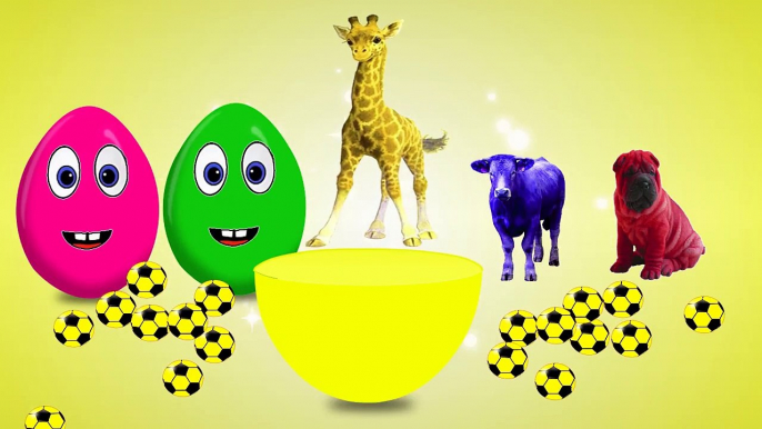 Learn Colors with Animals Color Surprise Eggs - Learning Animal Names and Colors for Kids Children