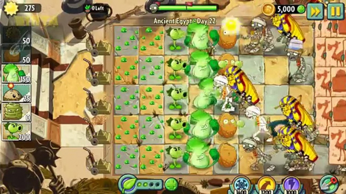 Plants vs Zombies 2 - Ancient Egypt Day 21 to Day 25