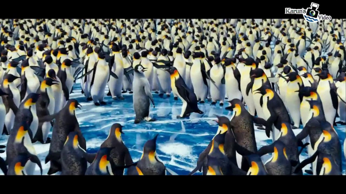 Penguins dancing for Tuti Bole wedding di bollywood song (1)