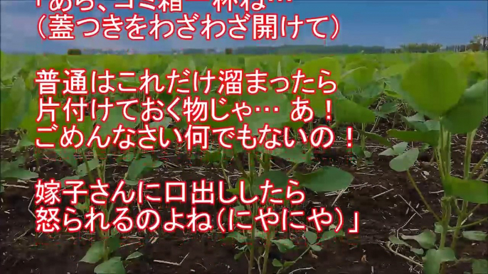 【スカッとする話】トメ『農家の人って怖いわ～、お米に農薬だなんて！人ゴロしねぇ！』空気ウト『嫁子さんの妹さんとこは知らないけど一理あるな』→私『トメさんのそのＴシャツもｗ』→