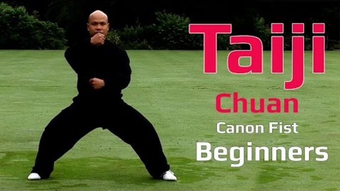 TaiJi chuan for beginners -Tai Chi Canon Fist 2 Chen style Lesson 2