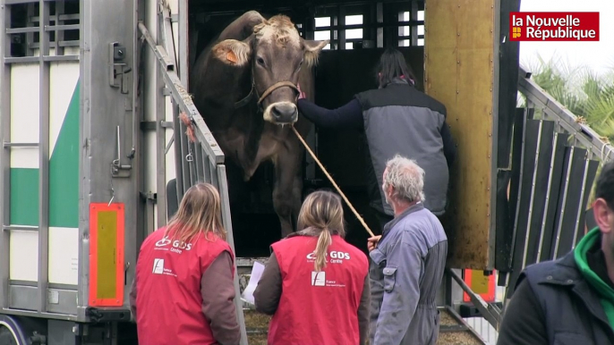 VIDEO. Tours : les animaux s'installent à ferme expo