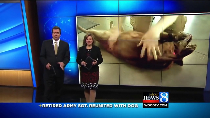 Military Dog Is Torn Away From Beloved Sergeant 2 Years Later, She Hears Him Screaming Her