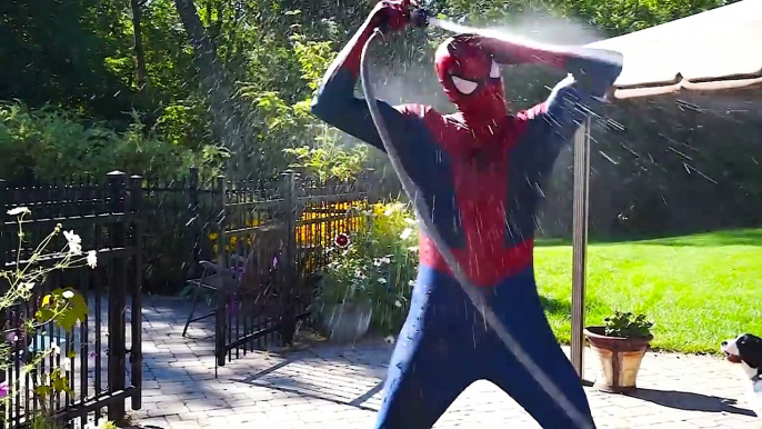 Frozen Elsa PRANK Spiderman- POOL FUN - Superheroes in Real Life | Superheroes | Spiderman | Superman | Frozen Elsa | Joker