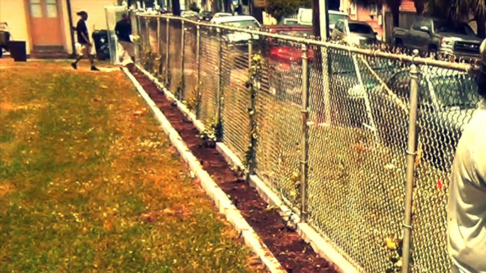 Crazy Bee Man Handles A Swarm Of Bees Barehanded!