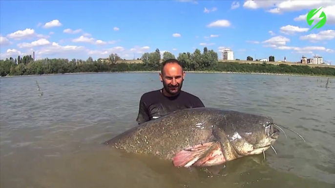 Une belle prise pour ce pecheur : silure de 3m de long