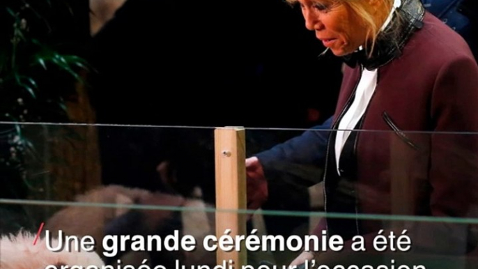 Brigitte Macron a baptisé le bébé panda du zoo de Beauval "Yuan Meng"