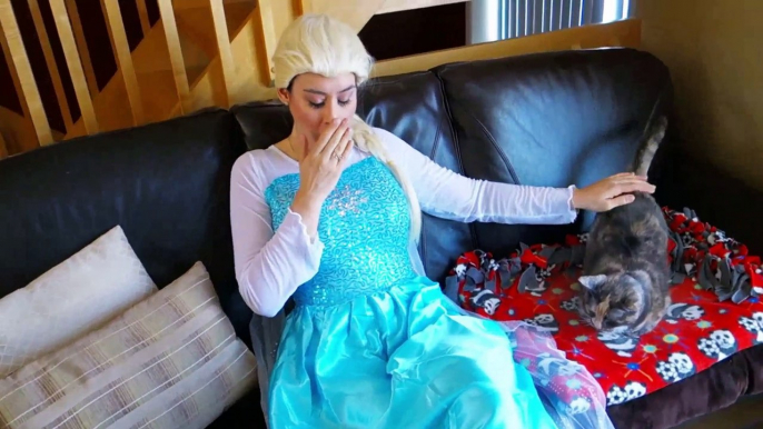 Spiderman & Frozen Elsa vs Clown! Surprise Gone Wrong! Funny Superheroes in Real Life  -) | Superheroes | Spiderman | Superman | Frozen Elsa | Joker