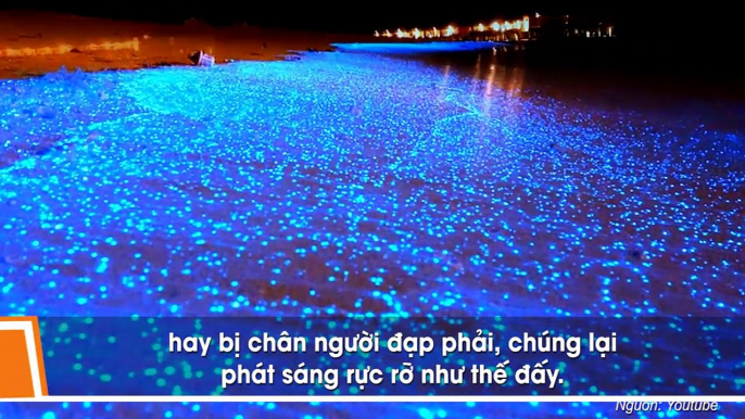 Những hiện tượng thiên nhiên bí ẩn kỳ lạ mà ai thấy qua cũng ngỡ rằng mình đang nằm mơ