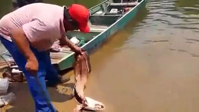 Ils balancent un morceau de poisson dans l'eau pour verifier si il y a des piranhas...