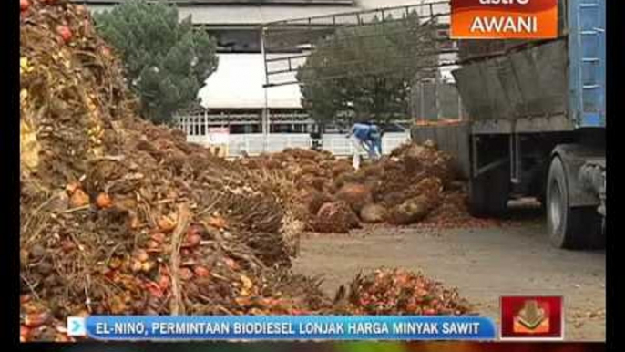 El-nino, permintaan biodiesel lonjak harga minyak sawit mentah