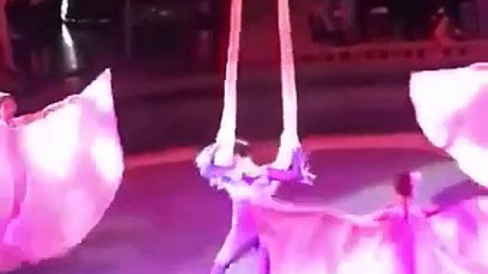 Cette acrobate fait une terrible chute en plein show