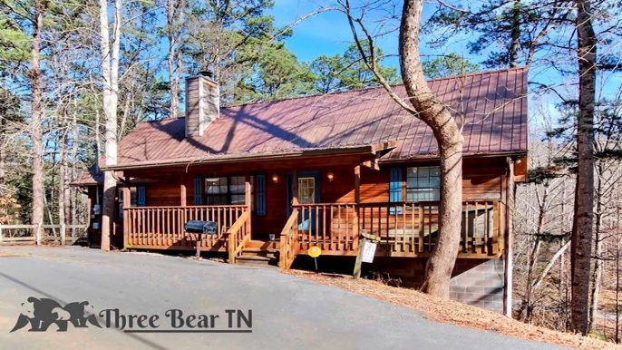 BEAUTIFUL LARGE 1 BEDROOM DELUXE CABIN