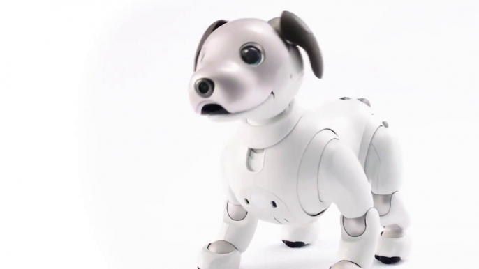 Aperçu de la nouvelle version du chien robot Aïbo de Sony