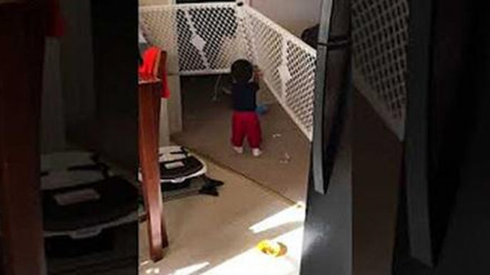 Baby Refuses To Let Society (Or His Mama) Fence Him In