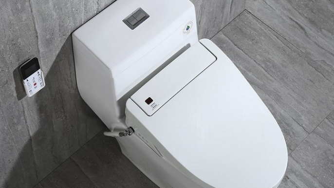 WoodBridge T-0008 Luxury Bidet Toilet, Elongated One Piece Toilet with Advanced Bidet Seat