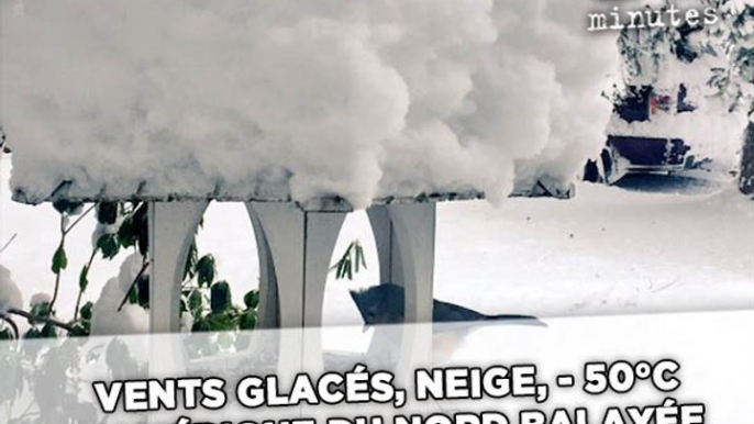 Vents glacés, neige, -50°C, état d'urgence... L'Amérique du Nord balayée par une vague de froid extrême