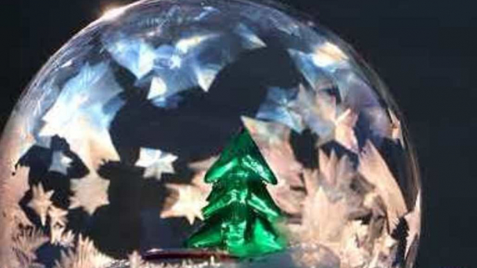 Natural Snow Globe Made With Liquid Bubble in Freezing Weather