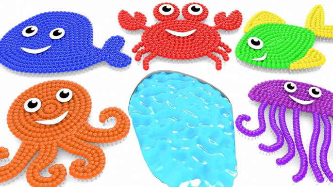 Learning Colors with Fish and Sea animals Shapes and Lollipops 3D for Children and Kids