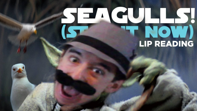 SEAGULLS! Stop It Now (Bad Lip Reading Song Cover) | Moe P. Sherman